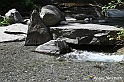 VBS_5279 - Novalesa, cascata, affreschi 